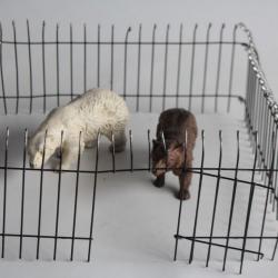 Ours Zoo Elastolin Hausser composition Jouet