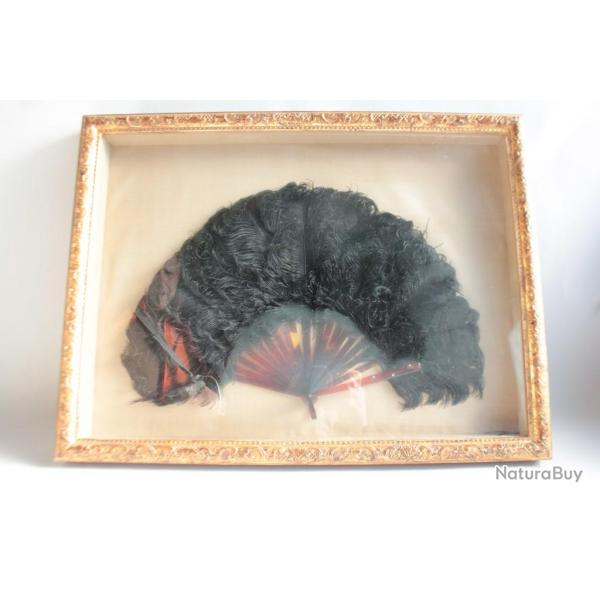 ventail Plumes d'autruche XIXe sicle