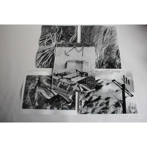 Lot 5 Photographies d'art JAN NEUMAN nature morte