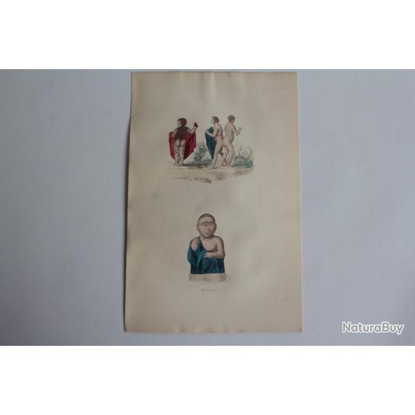 Gravure BUFFON Monstres XIXe sicle