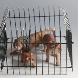 Lions Félins Zoo Elastolin Hausser composition Jouet