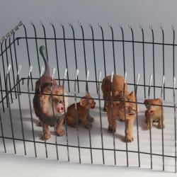 Lions Félins Zoo Elastolin Hausser composition Jouet