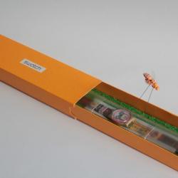 SWATCH Montre Gent Sweet Teddy GJ121