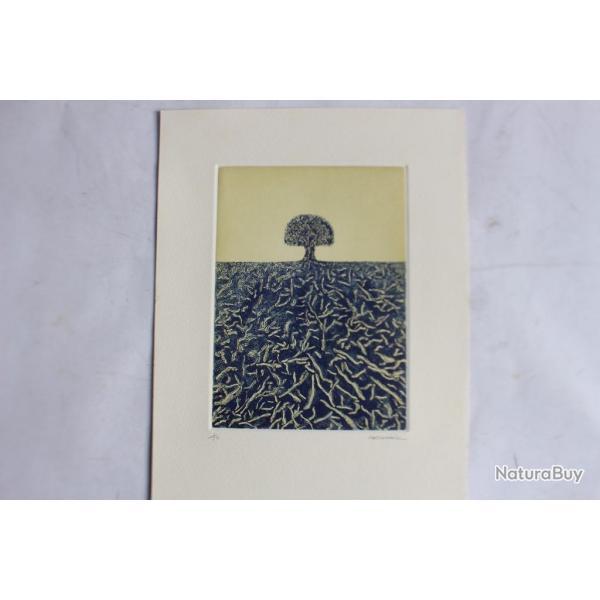 Gravure lithographie Doroteo ARNIZ