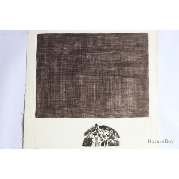 Gravure lithographie Doroteo ARNIZ Homognisation