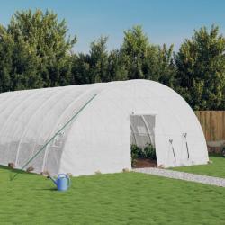 Serre avec cadre en acier blanc 36 m² 6x6x2,85 m