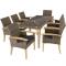 petites annonces chasse pêche : ACTI- Ensemble Table en rotin avec 8 chaises ROBERTA marron naturel salon862