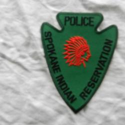 ancien insigne badge américain US Police réserve indian