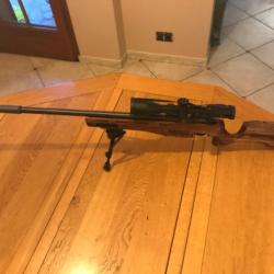 Carabine 17 hmr