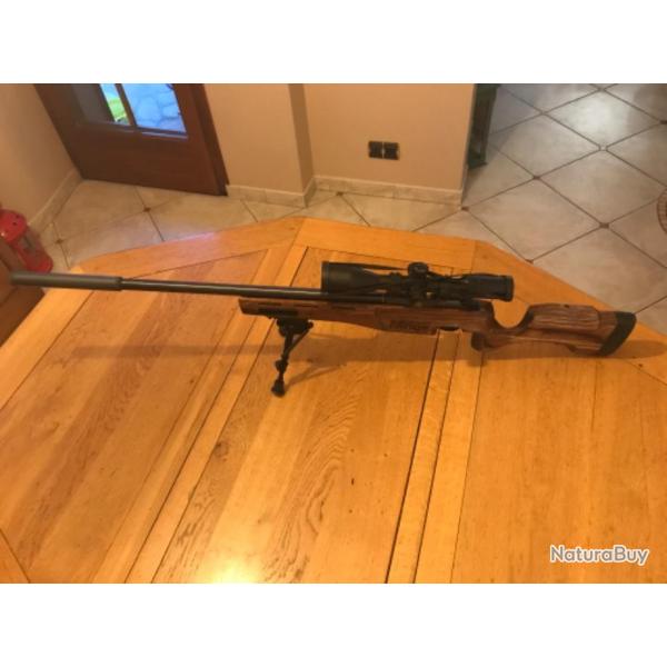 Carabine 17 hmr