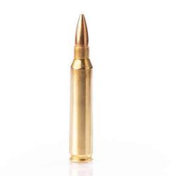 FIOCCHI - Cartouche C.223 FMJ 55gr (x50)