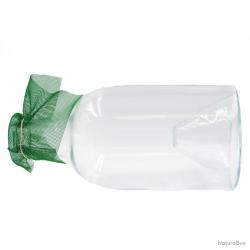 Carafe à vairons, verre