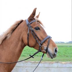 Bridon premium marron cheval (Taille 3)