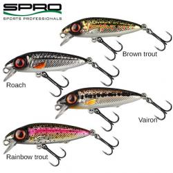 Leurre SPRO Iris the kid Hardlure 3,8cm Roach