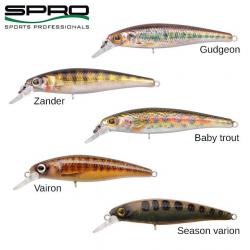 DESTOCKAGE ! Leurre SPRO Ikiru Jerk 65 FS  Gudgeon