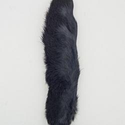 Patte de lièvre arctique (P.L.A) Noire