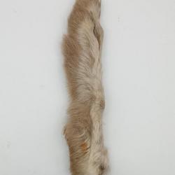 Patte de lièvre arctique (P.L.A) Cendré moyen