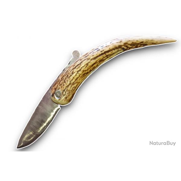 Couteau Pliant Zhn-Do pimontais 008 lame Drop Point