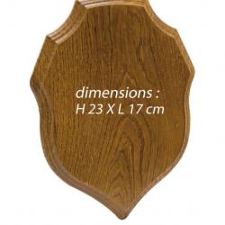 Ecusson Europ-Arm Chêne - Porte Trophée / H. 23 x L. 17 cm