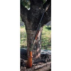 Winchester 1897 Standard calibre 12