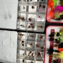 Lot de mouches de toutes sortes à peu près 700 mouches avec boites