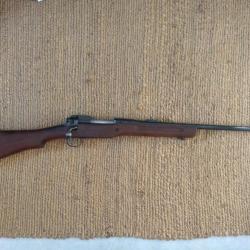 us 1917 Remington modifié chasse