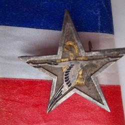Insigne 87 ° bataillon du génie Drago  période Algérie