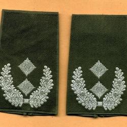 Fourreaux d'épaules de la Bundeswehr  - Oberstleutnant