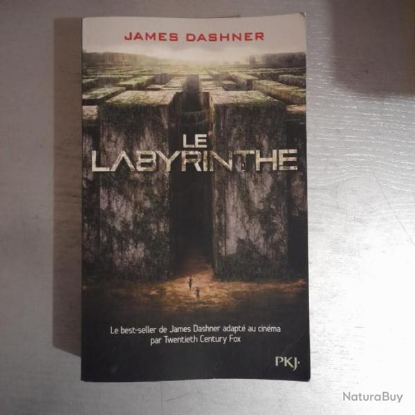 Le Labyrinthe - Tome 1 : L'preuve