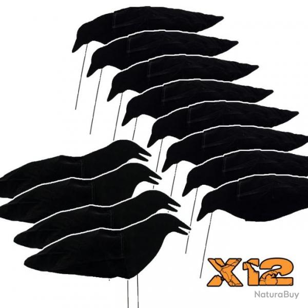 Pack de 12 aro-blettes corbeau assortis
