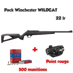 Pack Carabine semi-auto WINCHESTER WILDCAT 22LR canon 18" 
