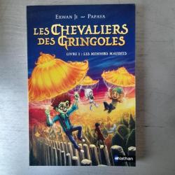 Les Chevaliers des Gringoles - tome 01 : Les menhirs maudits. Livre neuf