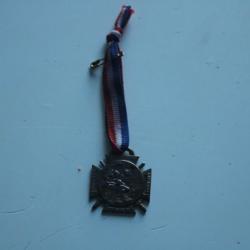 medaille journee du poilu 1915