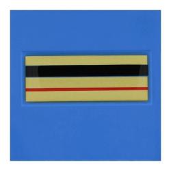 Grade velcro 5x5 plastifie relief brigadier chef principal