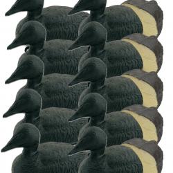 Pack 10 appelants eiders noirs moussés
