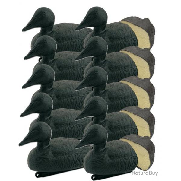 Pack 10 appelants eiders noirs mousss