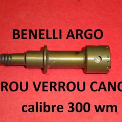 écrou verrou canon carabine BENELLI ARGO calibre 300 wm - VENDU PAR JEPERCUTE (JO89)