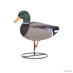 Appelant réaliste colvert mâle cou droit avec pied