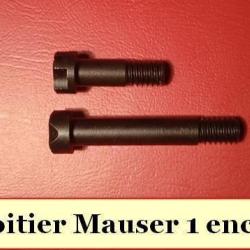 Vis de boitier Mauser 1 encoche