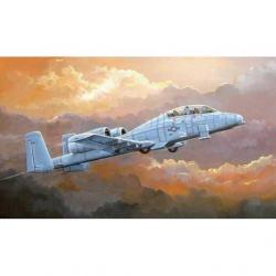 Maquette à monter - N/AW A-10A Thunderbolt II 1/72 | Hobby boss (0000 2984)