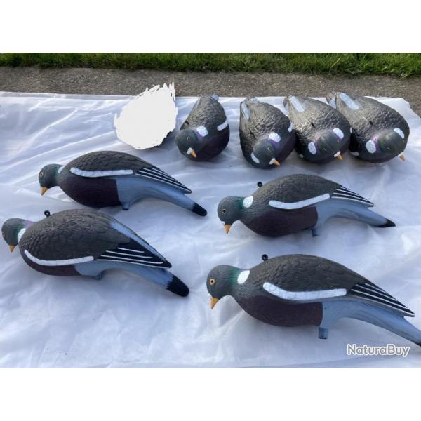 8 formes de pigeons hd