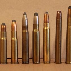 Lot de calibres 9.3 ( 7 munitions )