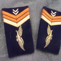 2 insignes armée de l'air  française