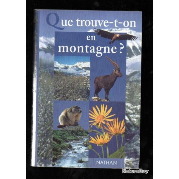 que trouve t'on en montagne collectif , faune et flore