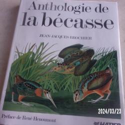ANTHOLOGIE DE LA BECASSE PAR J.J BROCHIER