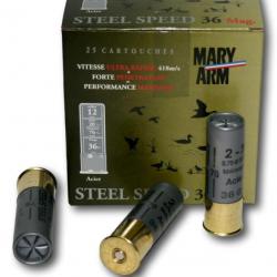 MARY ARM STEEL SPEED C.12/76 BJ 36GRS N° 4+5 X25