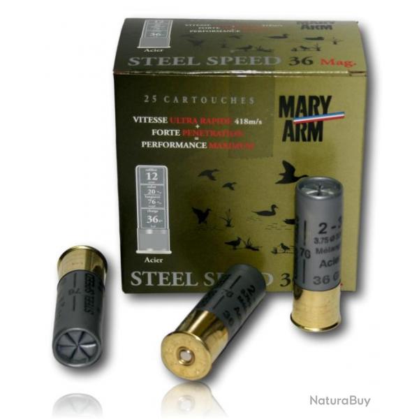 MARY ARM STEEL SPEED C.12/76 BJ 36GRS N 4+5 X25