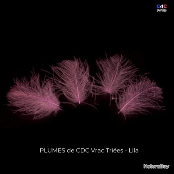 CDC Premium teint lila