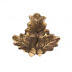 Feuille de Chêne porte trophée - A50270