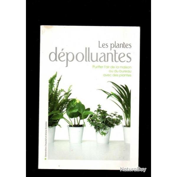 Les plantes dpolluantes : purifier l'air de la maison ou du bureau avec des plantes